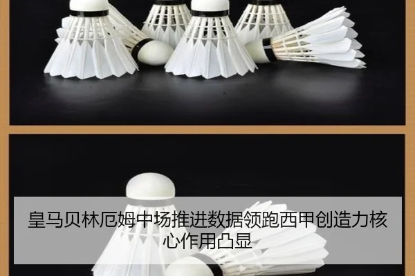 huang-ma-bei-lin-e-mu-zhong-chang-tui-jin-shu-ju-ling-pao-xi-jia-chuang-zao-li-he-xin-zuo-yong-tu-xian-2-846.jpg